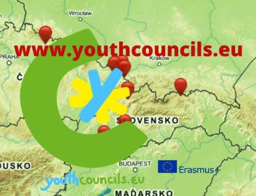 Sieť mládežníckych parlamentov a rád mládeže